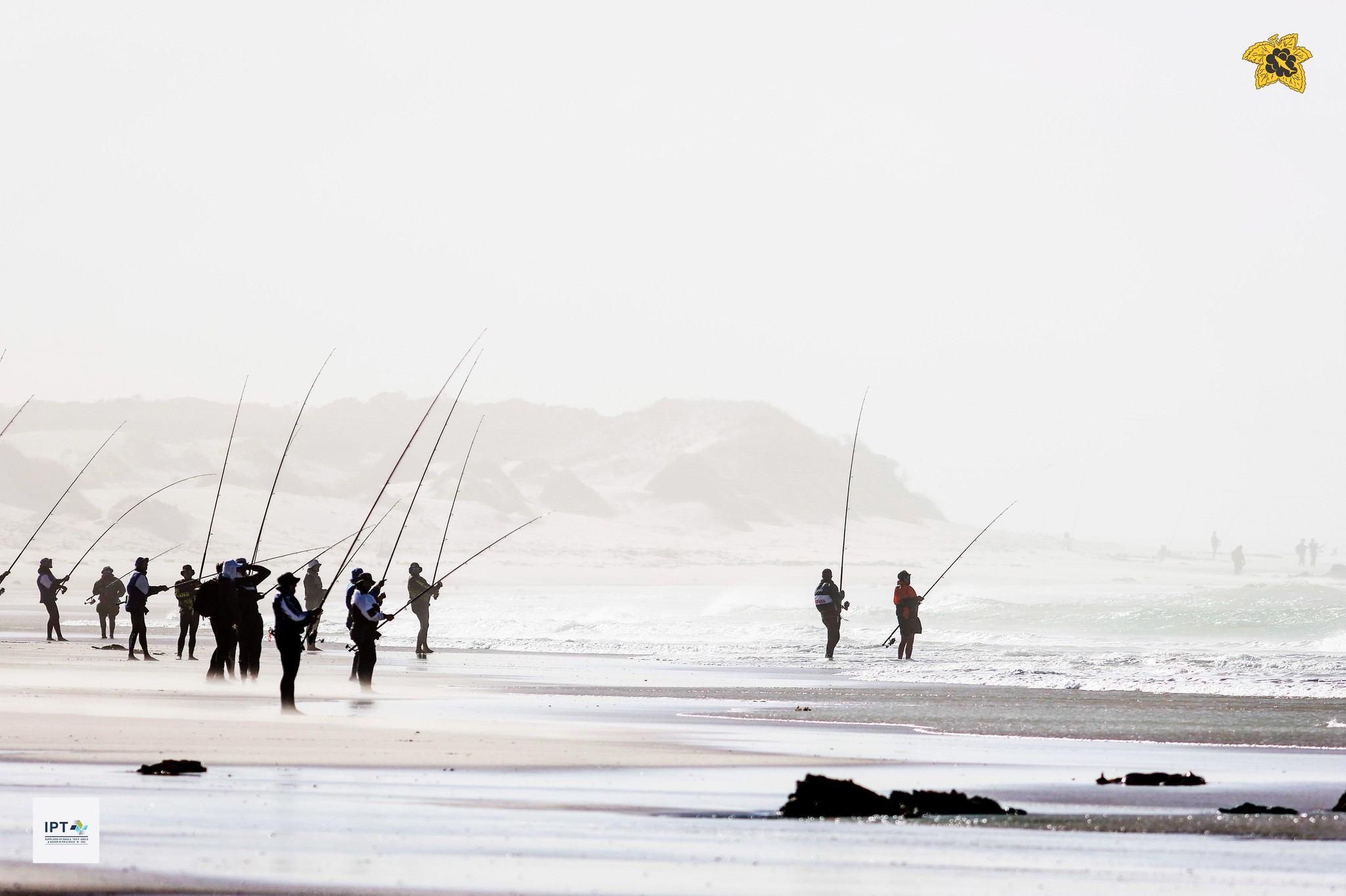 A line of anglers fishing the surf