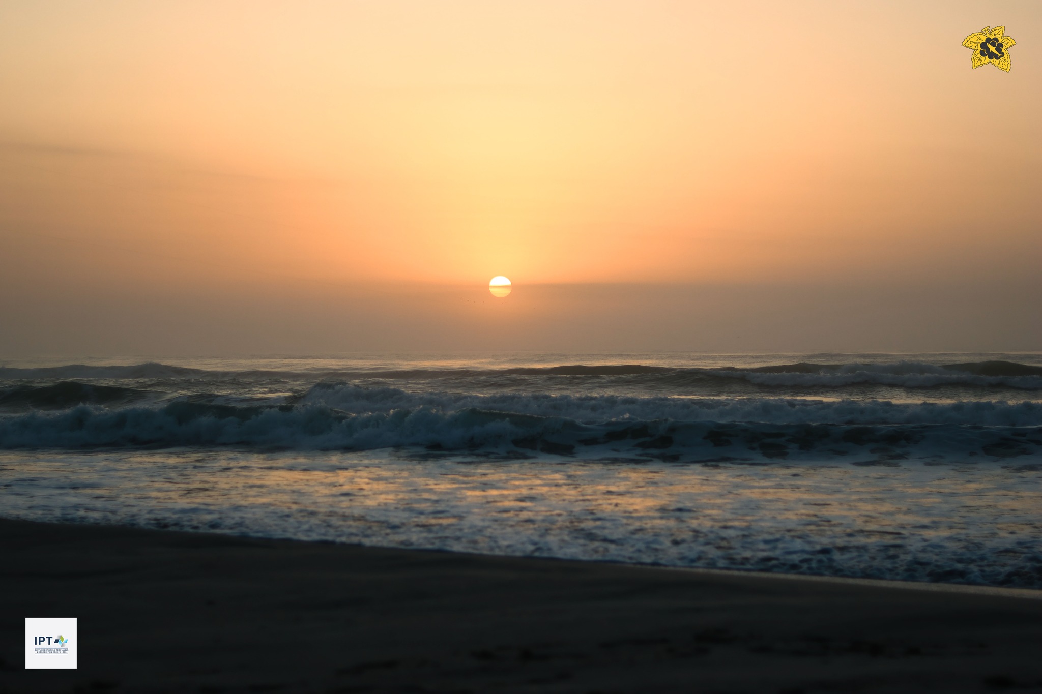 Sunrise over the surf