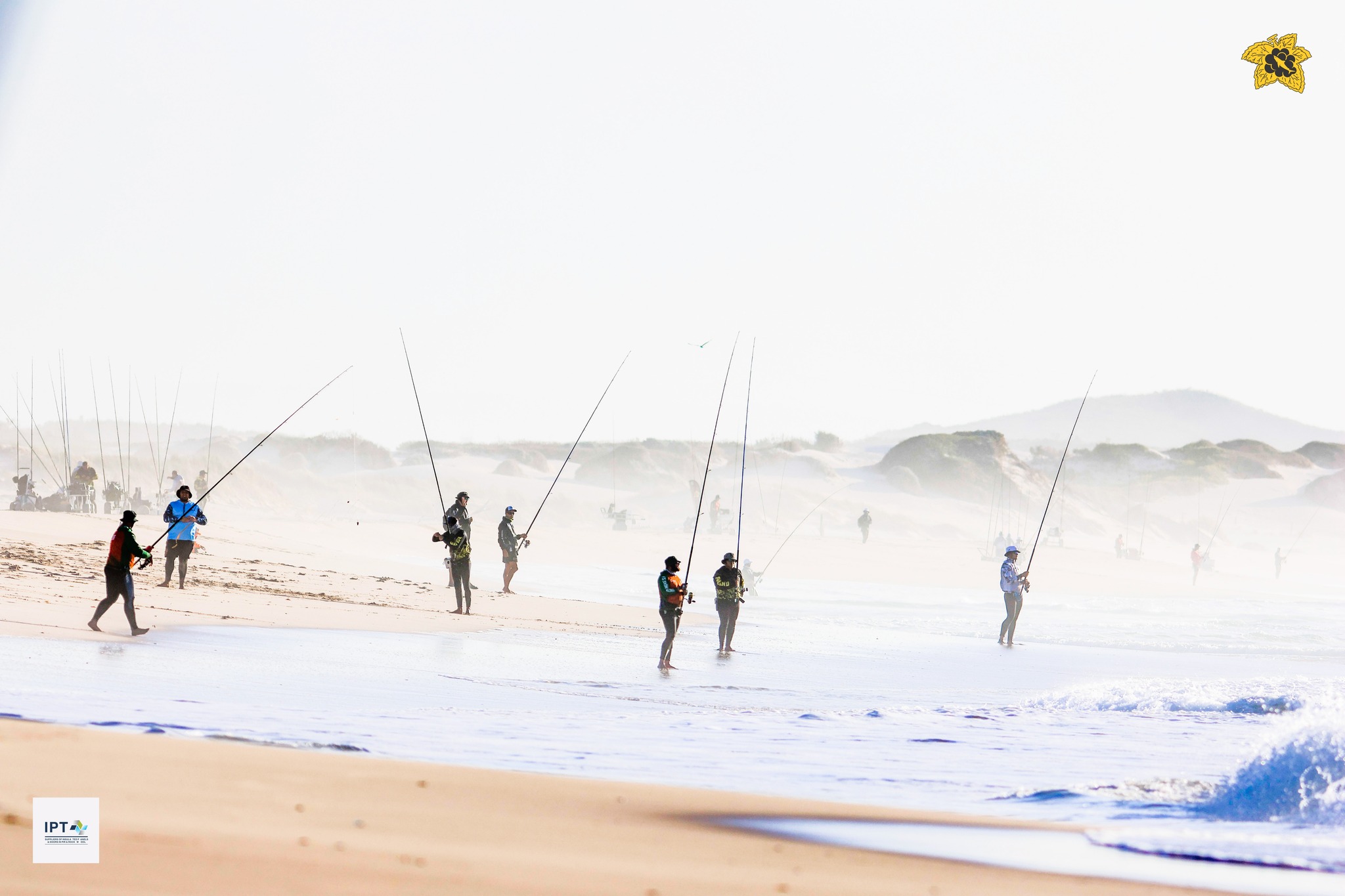 Anglers lined up in the surf at dawn